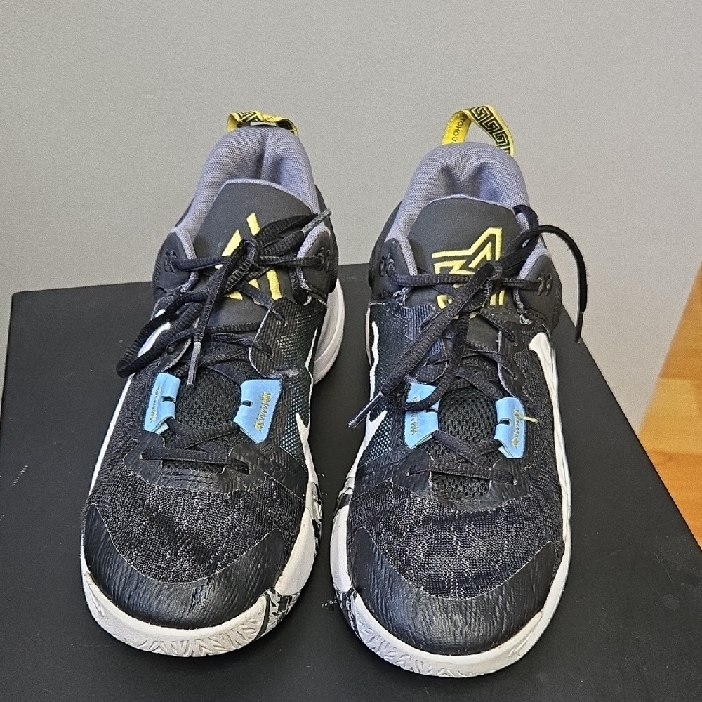 Nike Giannis Immortality 2 Runners
